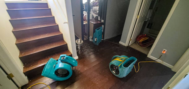 Water damage restoration process in IN