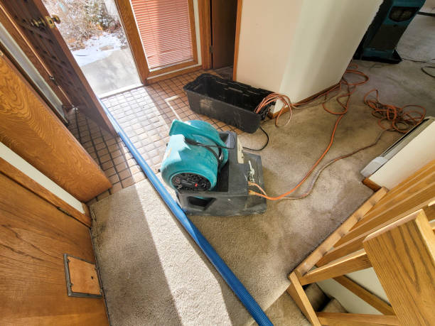 Best Mold removal after water damage  in Middlebury, IN