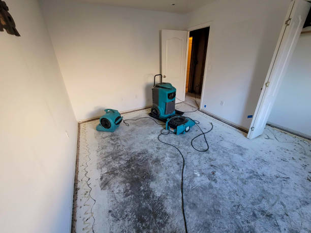 Trusted IN Water damage restoration Experts