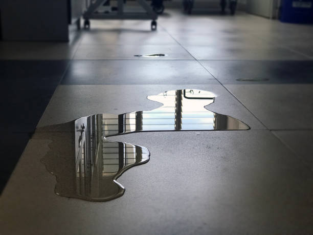 Best Professional water damage repair  in Middlebury, IN
