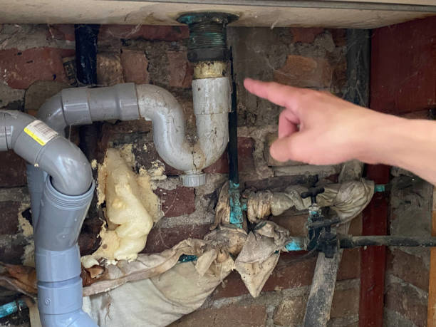 Best Water damage repair service  in Middlebury, IN