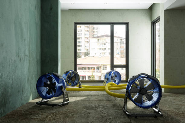 Carpet water damage restoration in IN